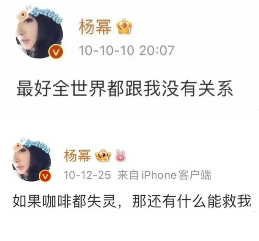 明星成为IP的N种方式