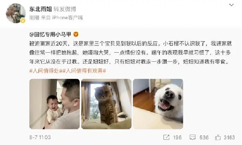 小杨哥和东北雨姐，别再惦记复出了