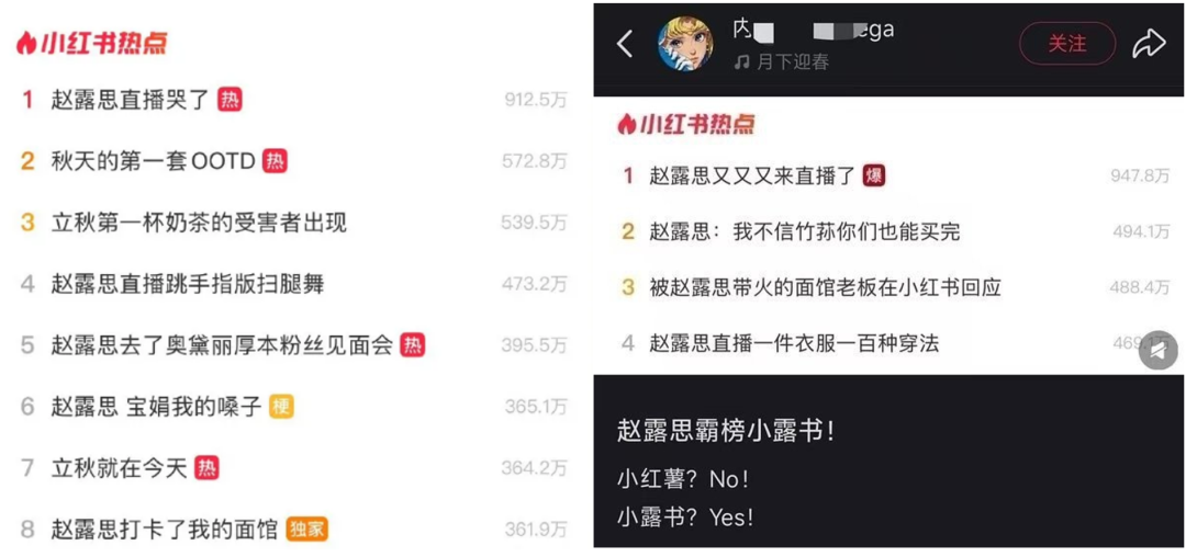 12年来首次被单独“约谈”，小红书难以抉择的十字“露”口