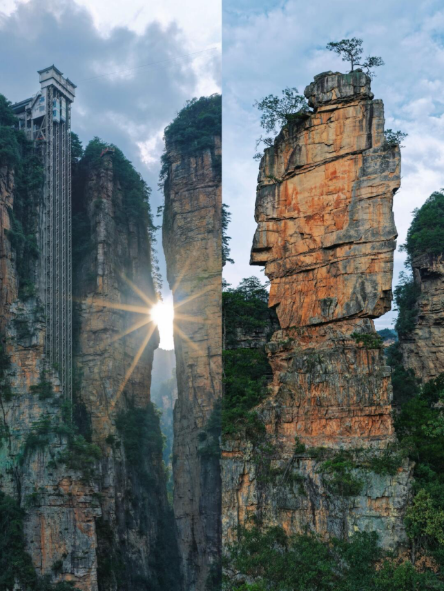 现在流行来中国看赛博朋克