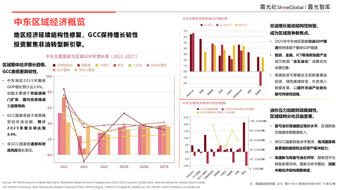 2025 中东区域国别可进入性报告