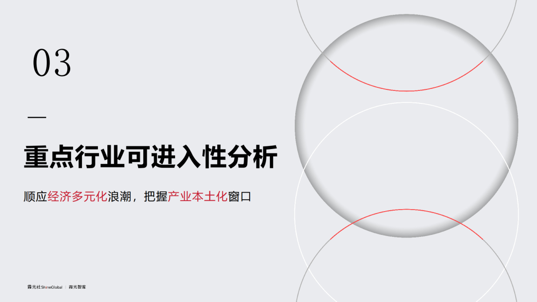 2025 中东区域国别可进入性报告