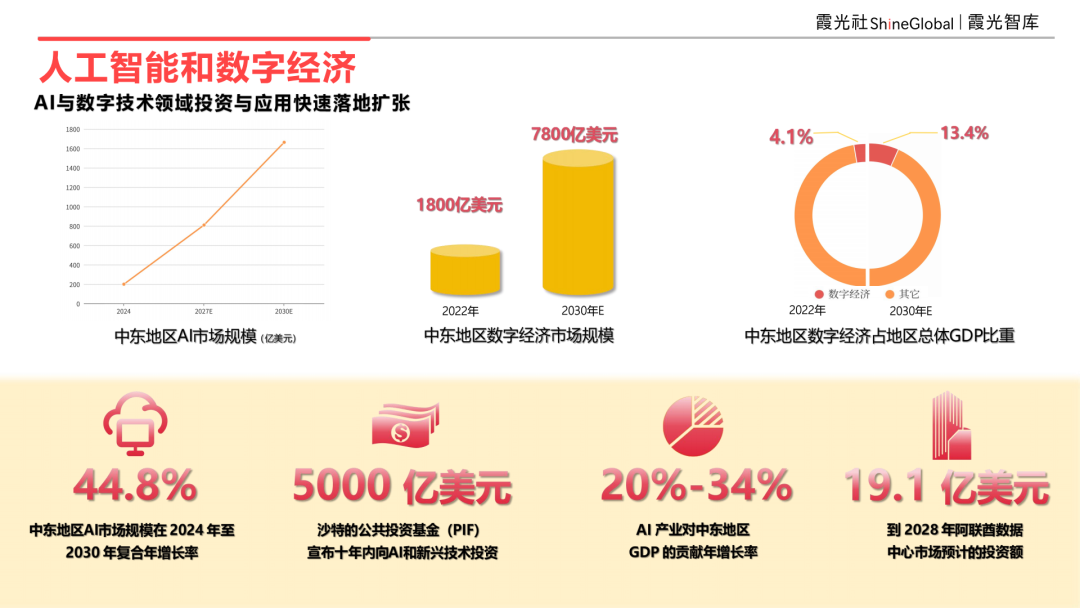 2025 中东区域国别可进入性报告