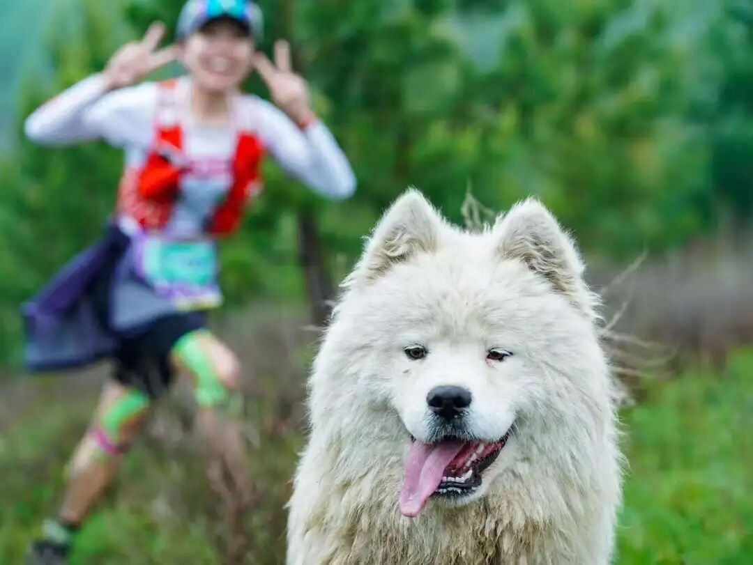 这届网友，拍照不用美颜