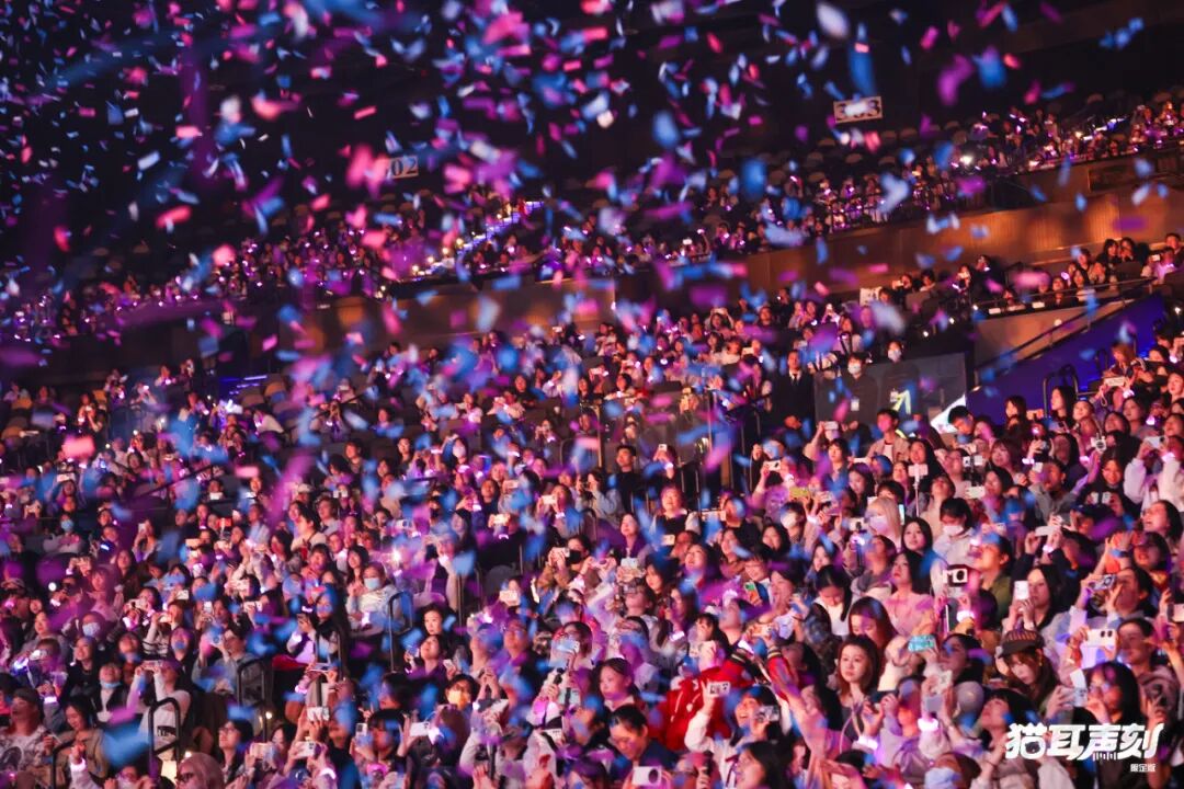 「猫耳声刻」,一场声音文化的“变与不变”-锋巢网