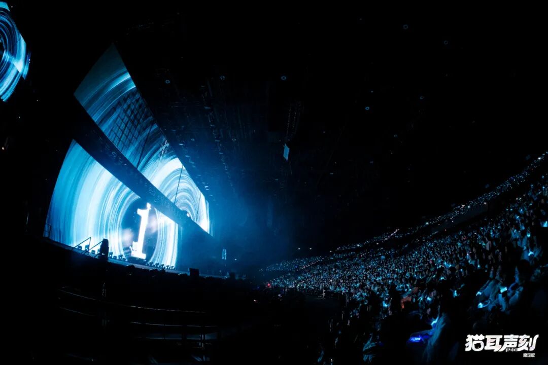 「猫耳声刻」,一场声音文化的“变与不变”-锋巢网