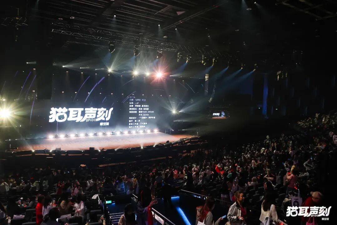 「猫耳声刻」,一场声音文化的“变与不变”-锋巢网