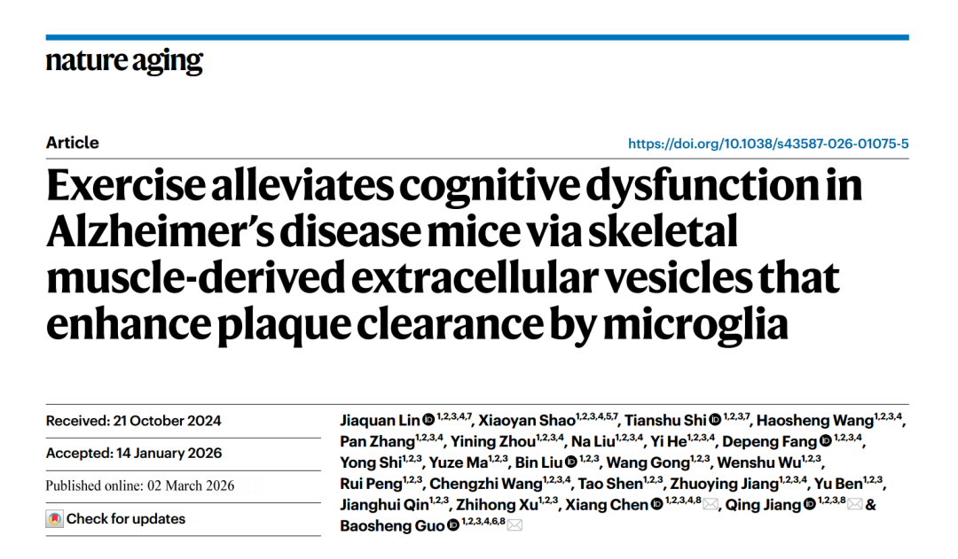 Nat Aging｜南京大学郭保生/蒋青等揭示运动改善AD认知障碍的“肌-脑通讯”新机制