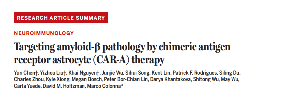 Science｜攻克AD现曙光！美国科学家开发新型CAR-A疗法