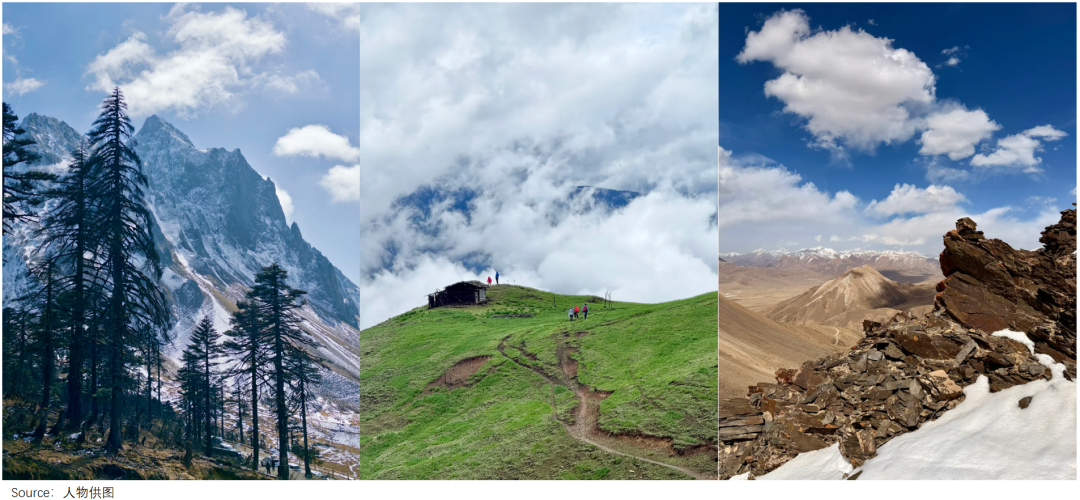 狂卖2000万！年轻人把“国产鸟”买成“新工服”