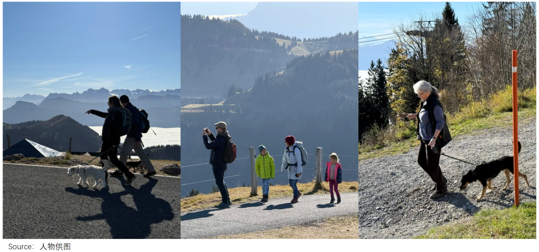 狂卖2000万！年轻人把“国产鸟”买成“新工服”