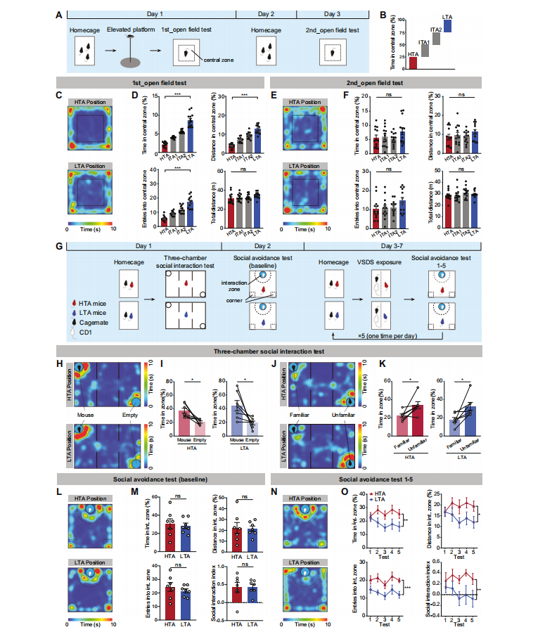 Nat子刊：田波/张培团队揭示VTA-ACC多巴胺环路调控观察性社交回避的机制