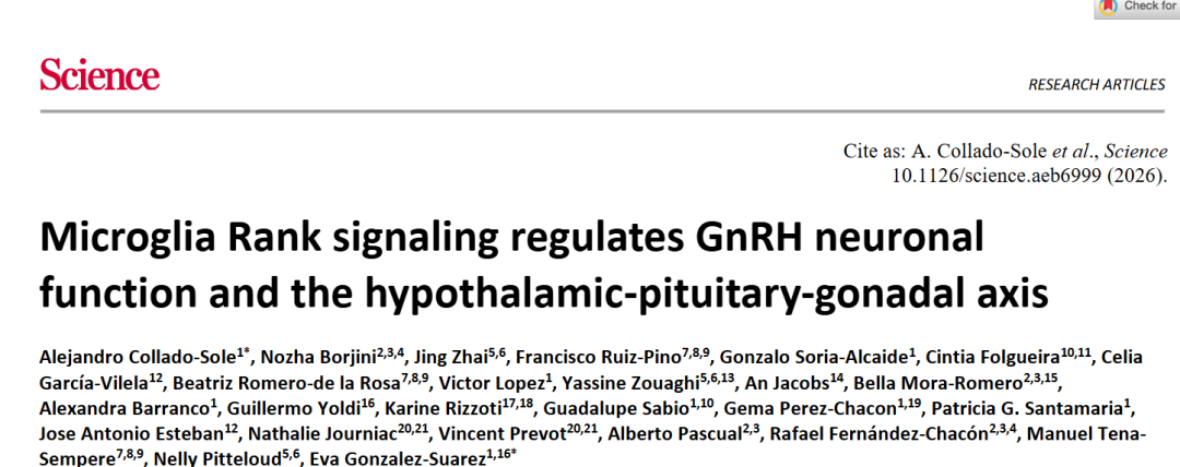Science｜“免疫-生殖”轴新发现！西班牙科学家发现大脑免疫细胞是生育调控的关键
