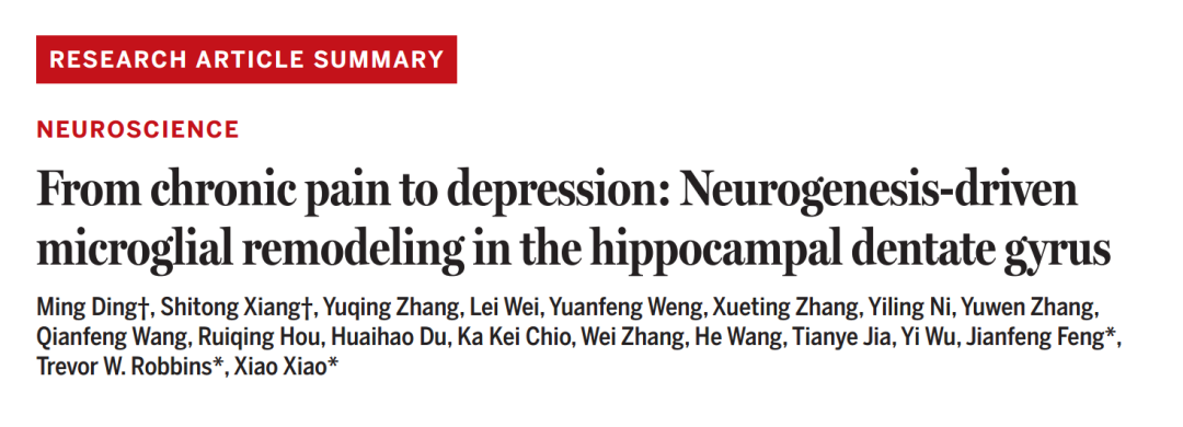 复旦+剑桥联手登Science！首次破解疼痛致抑郁的关键机制，别让疼痛熬成抑郁！