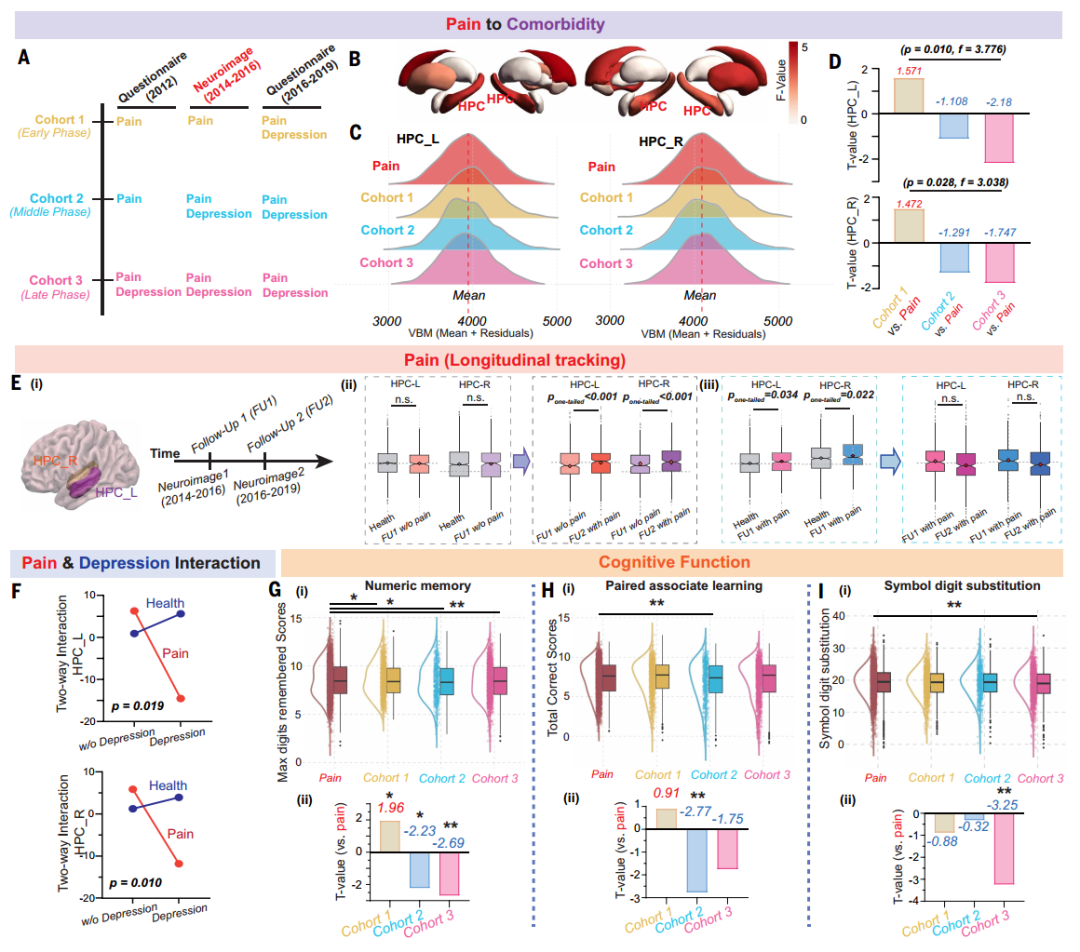 复旦+剑桥联手登Science！首次破解疼痛致抑郁的关键机制，别让疼痛熬成抑郁！