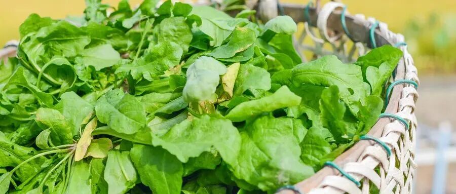 这些爆火的「春日经济」，可不只是新“花”样