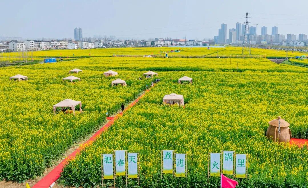 这些爆火的「春日经济」，可不只是新“花”样