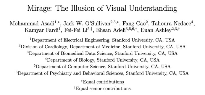 AI Image Vision May Be Fabricated