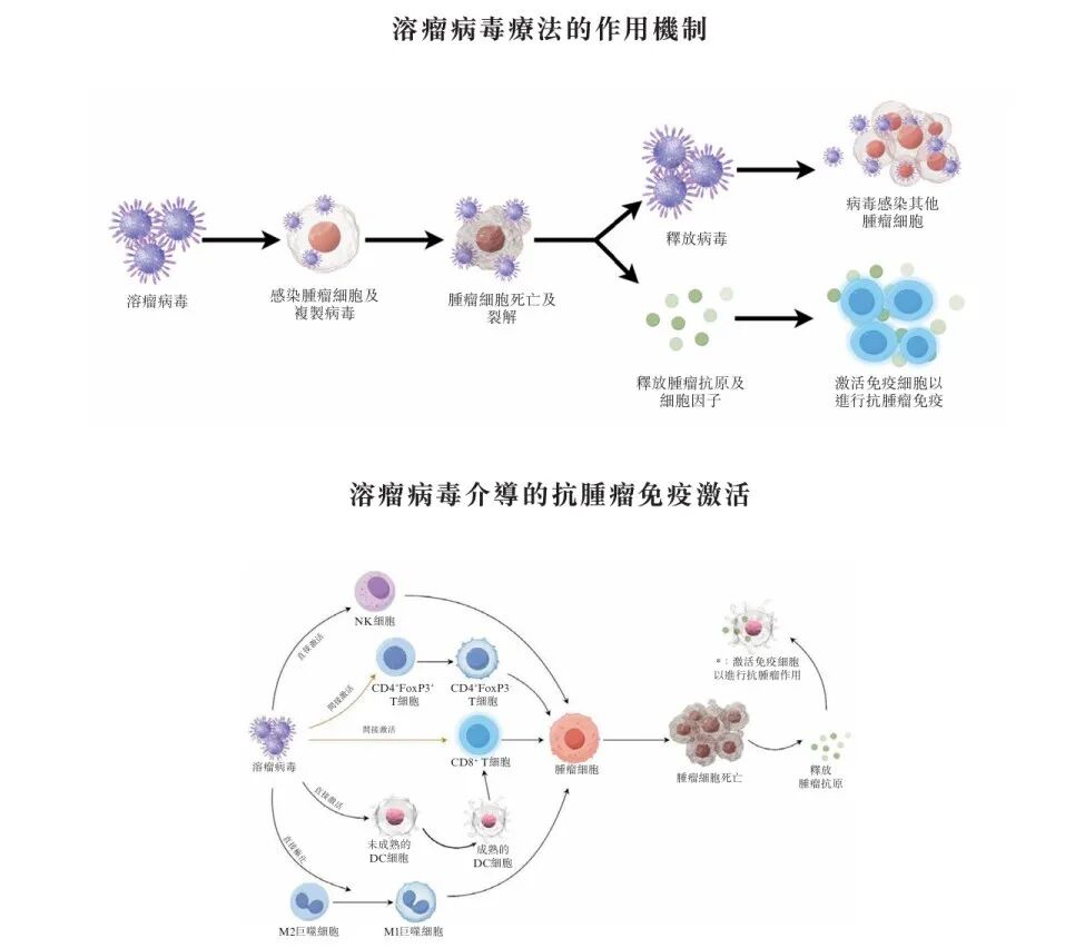 两年亏超2.3亿，滨会生物“以毒攻毒”抗癌梦能否成真？