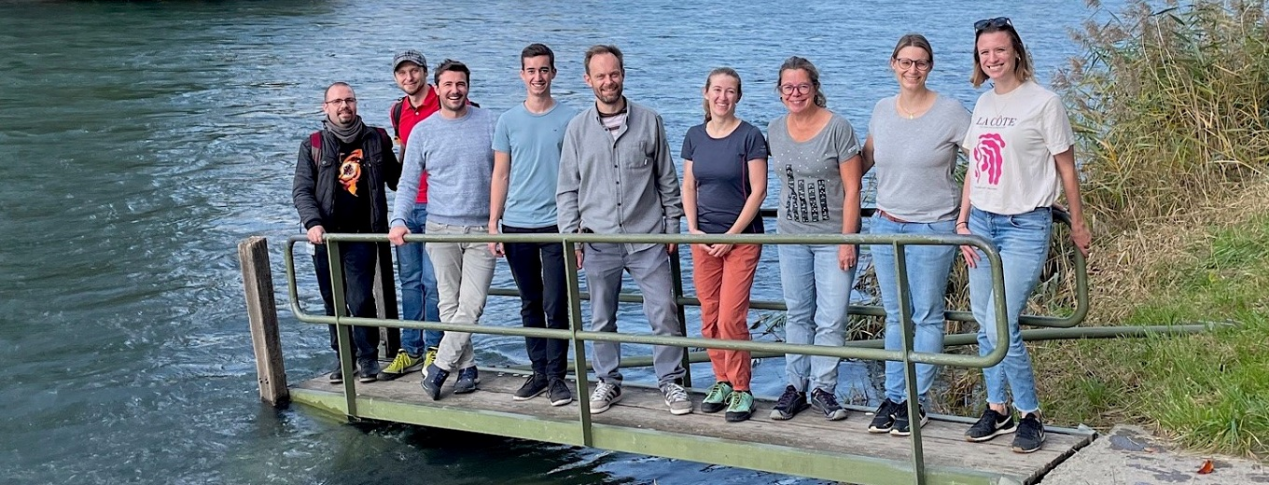 瑞士生物科技公司InCephalo研发能局部作用于胶质母细胞瘤的生物制剂，提升药物局部停留时间与浓度