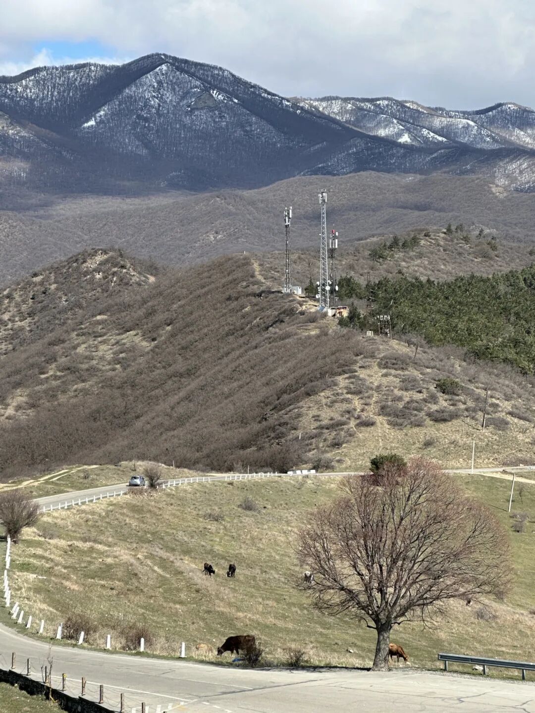 我在格鲁吉亚，看到满城尽是中国人