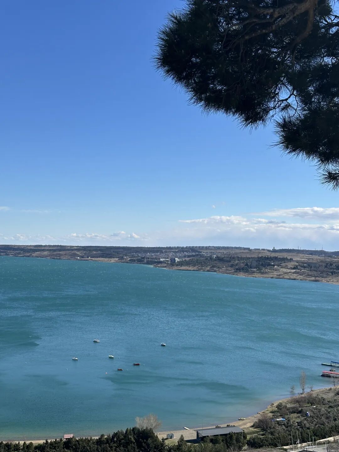 我在格鲁吉亚，看到满城尽是中国人