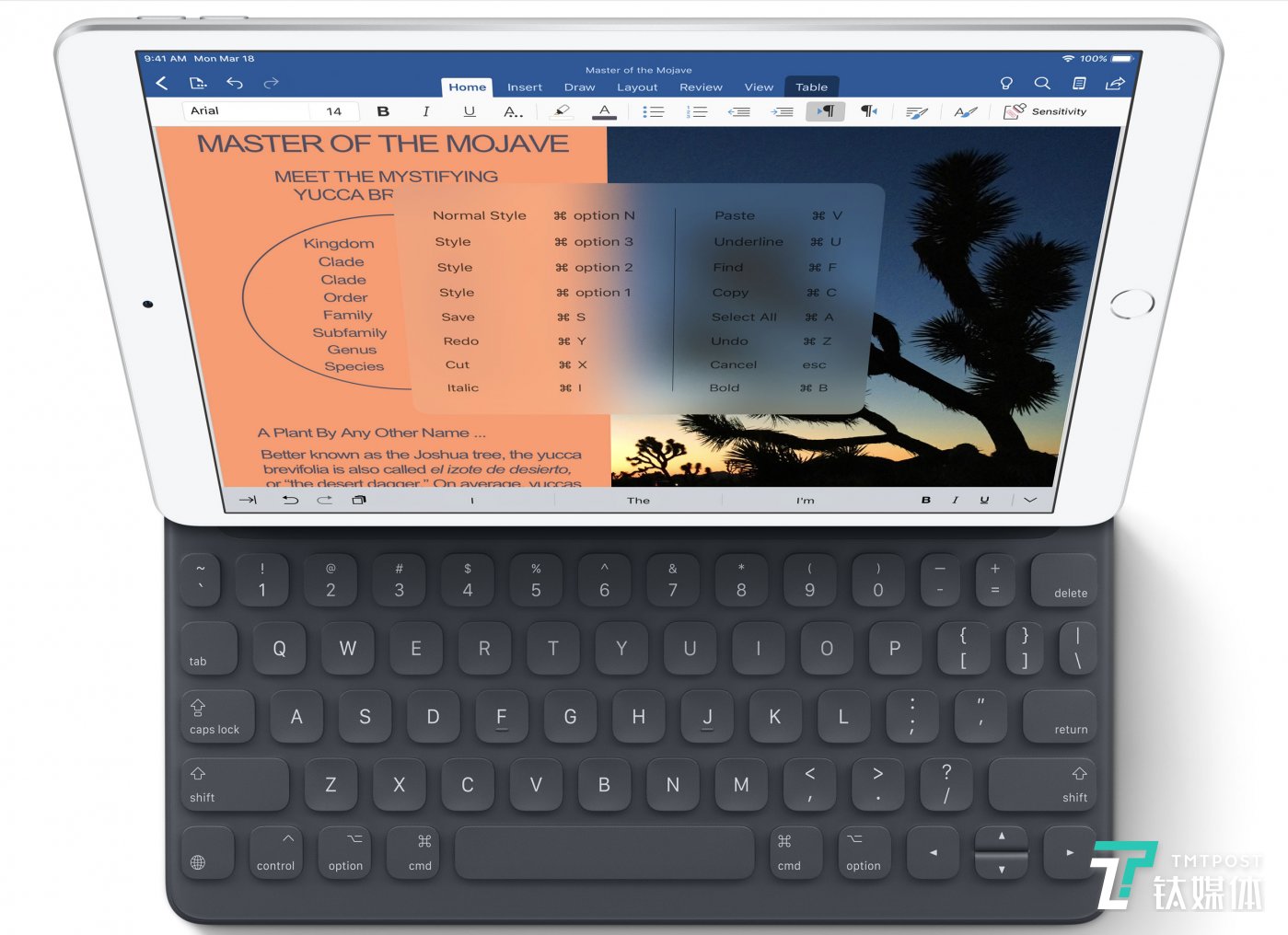 iPad Pro with SmartKeyboard Gen1