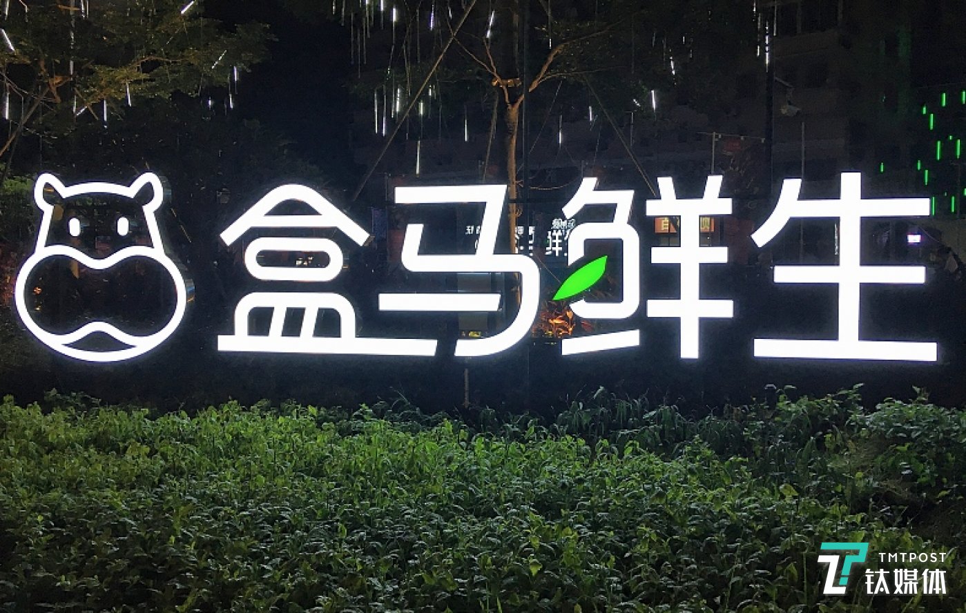 图片来源:视觉中国