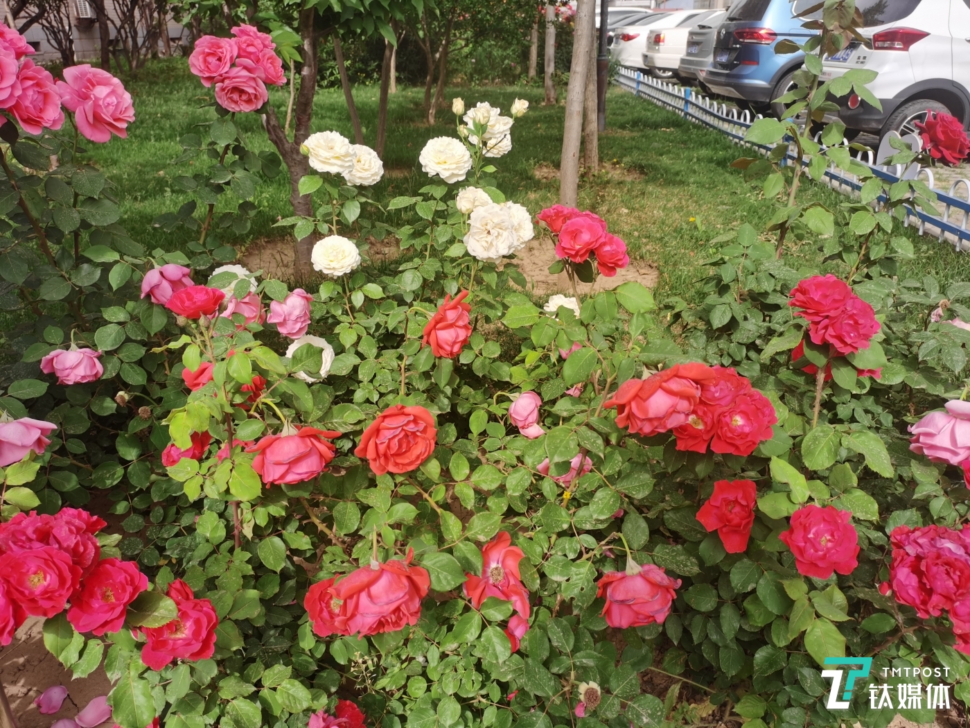 其他样张：焦距5.58mm 光圈：f/1.8 快门速度：1/1600s ISO：50