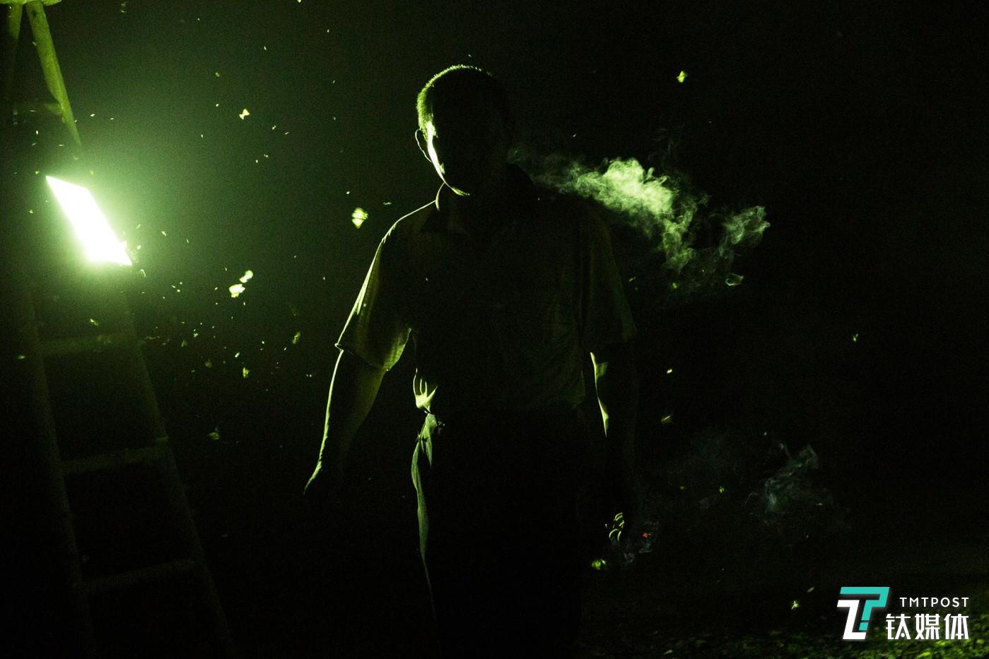 连夜赶工。湖南，工地苗木工人加班加点工作，灯光下聚集着大量飞蛾。