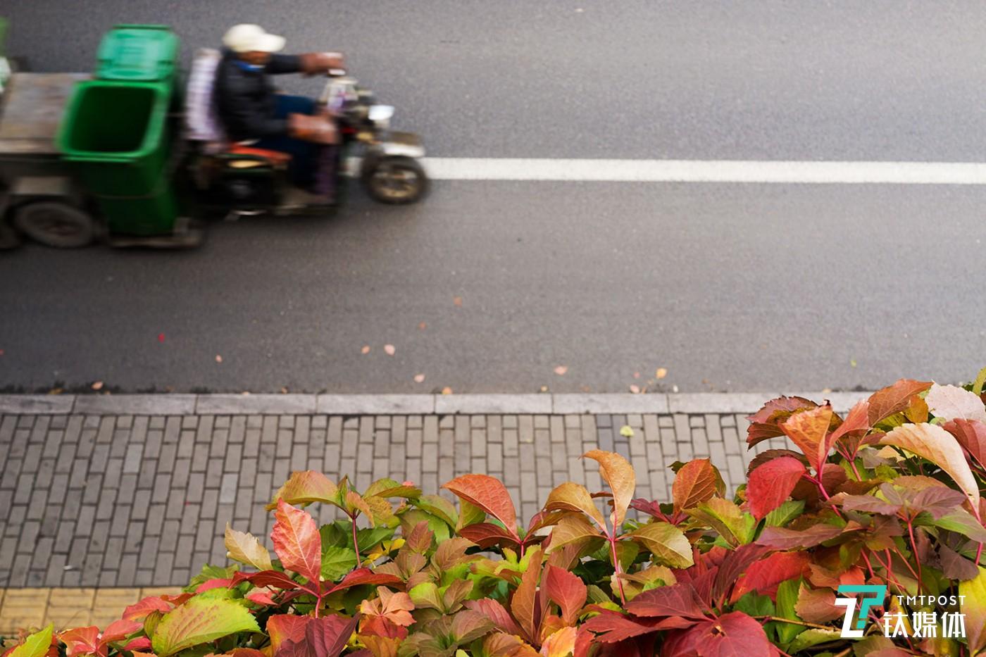 尼康Z7实拍样片