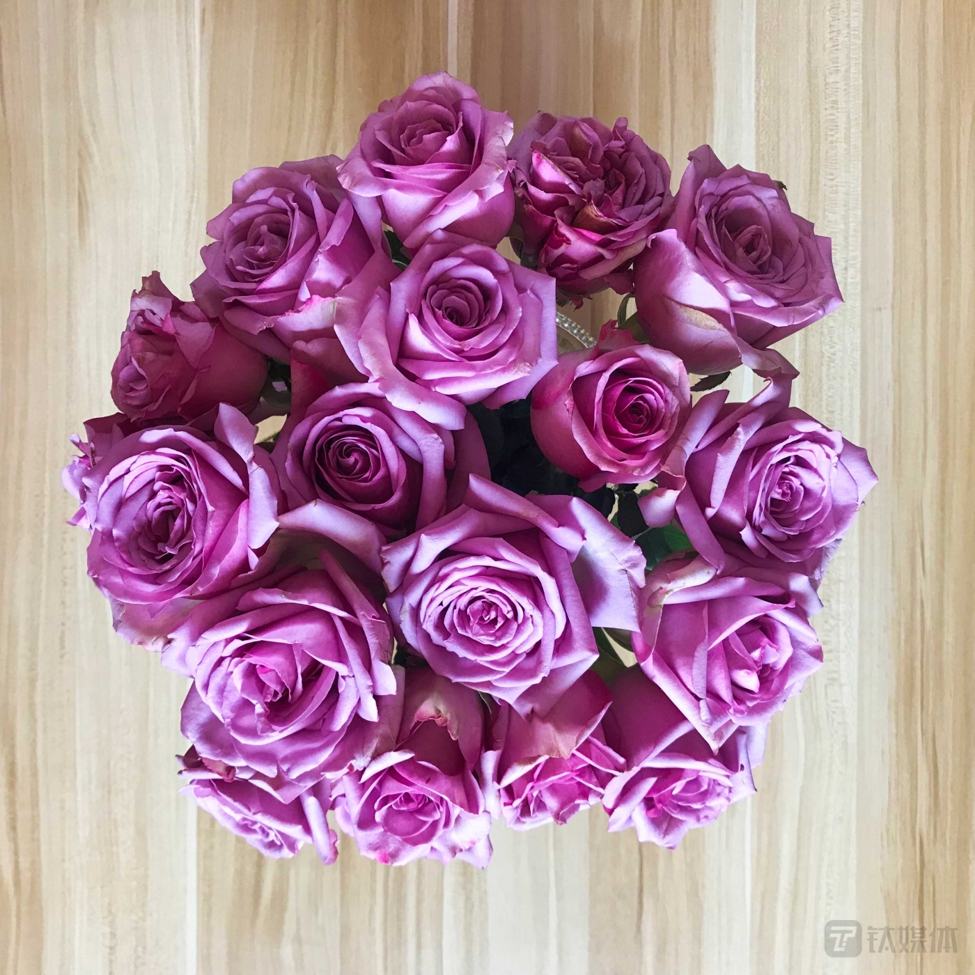 OPPO R17 Pro炫彩实拍样张