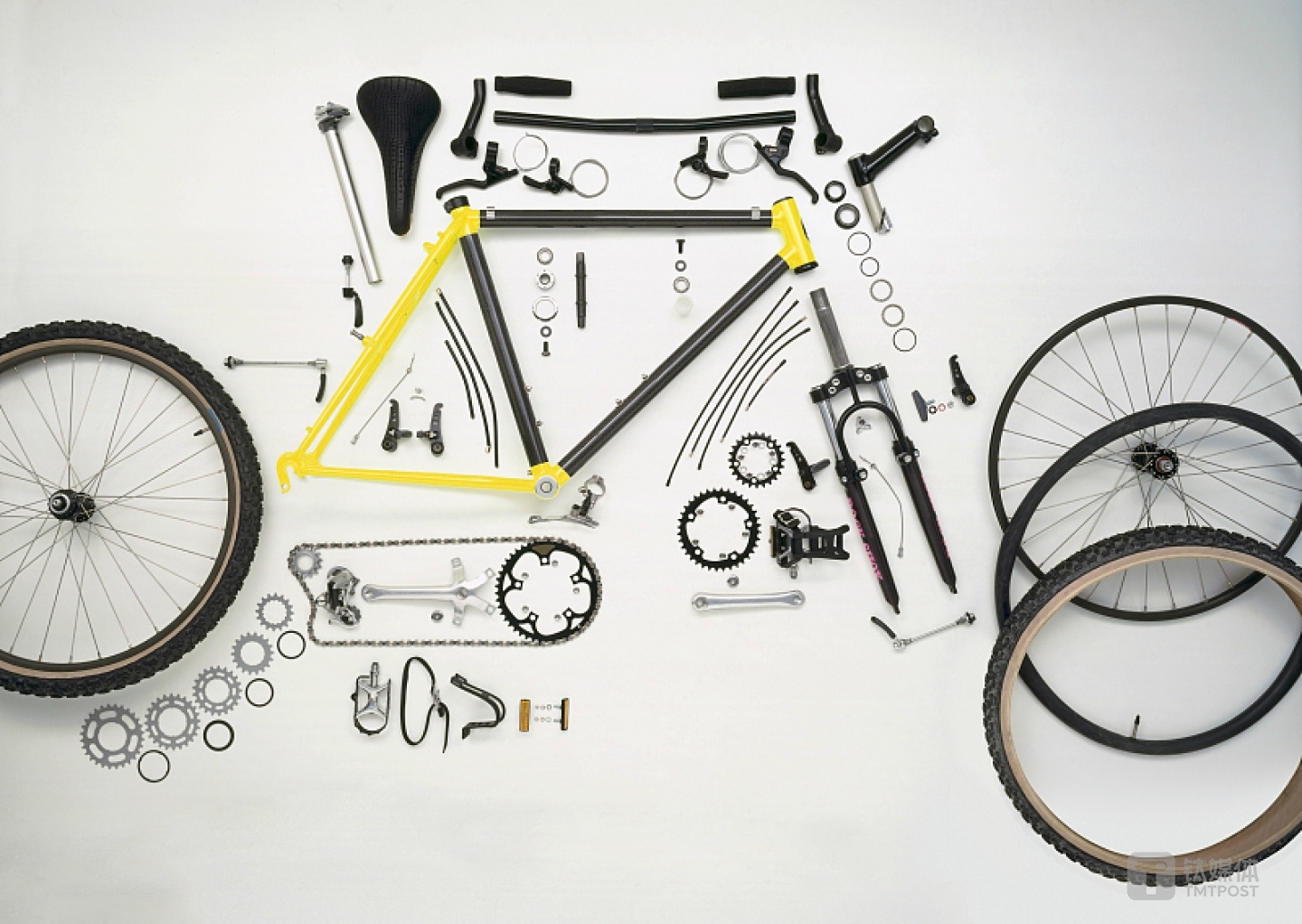 图片来源：视觉中国