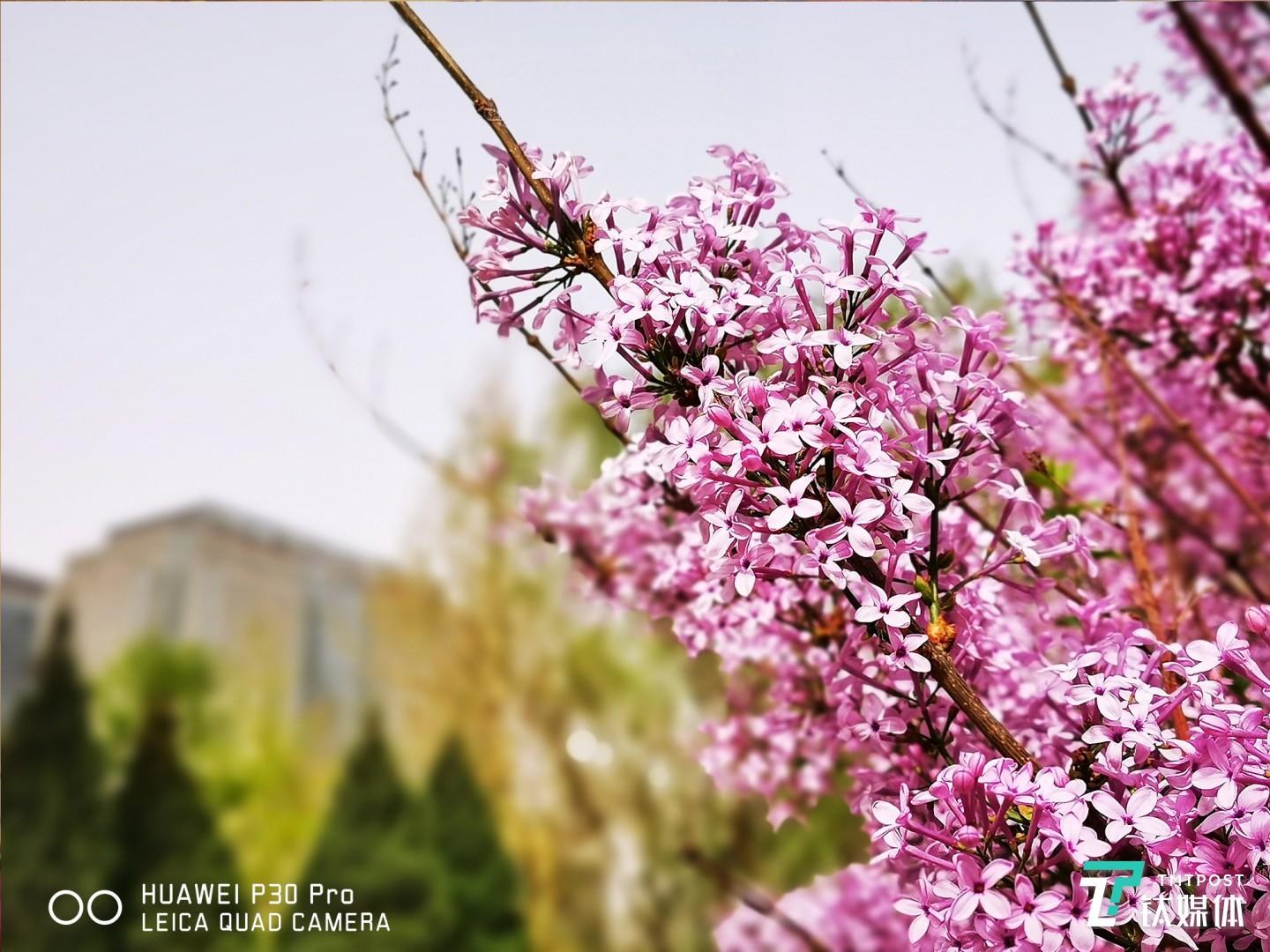 更多样张  焦距：mm（等效35mm焦距） 光圈：f/ 快门速度：1/s ISO: