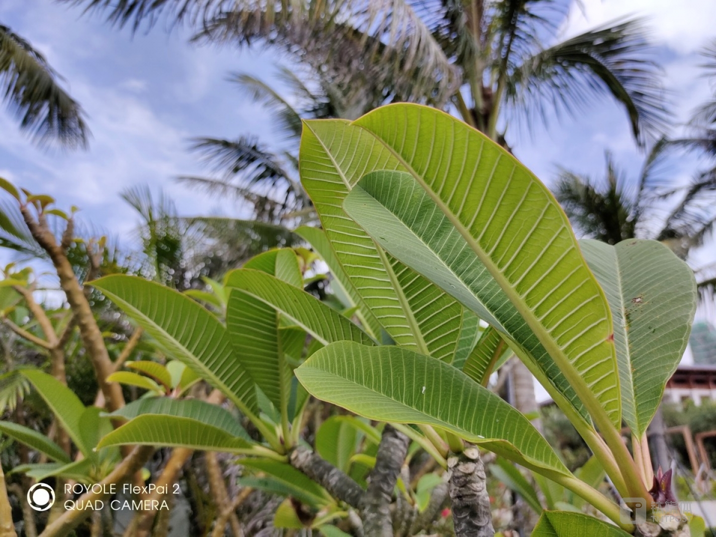 更多实拍样张 焦距：3.3mm 光圈：f/2.2 快门速度：1/33s ISO:1250