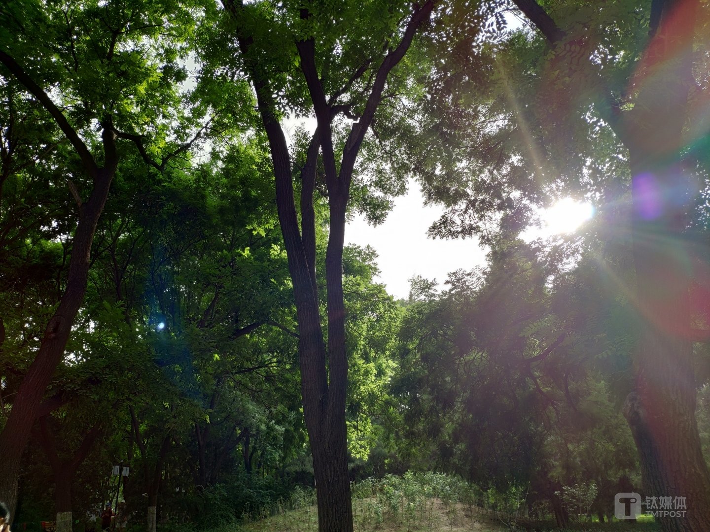 逆光紫边控制-焦距:4.216mm,光圈:f1.8,快门速度:1/192