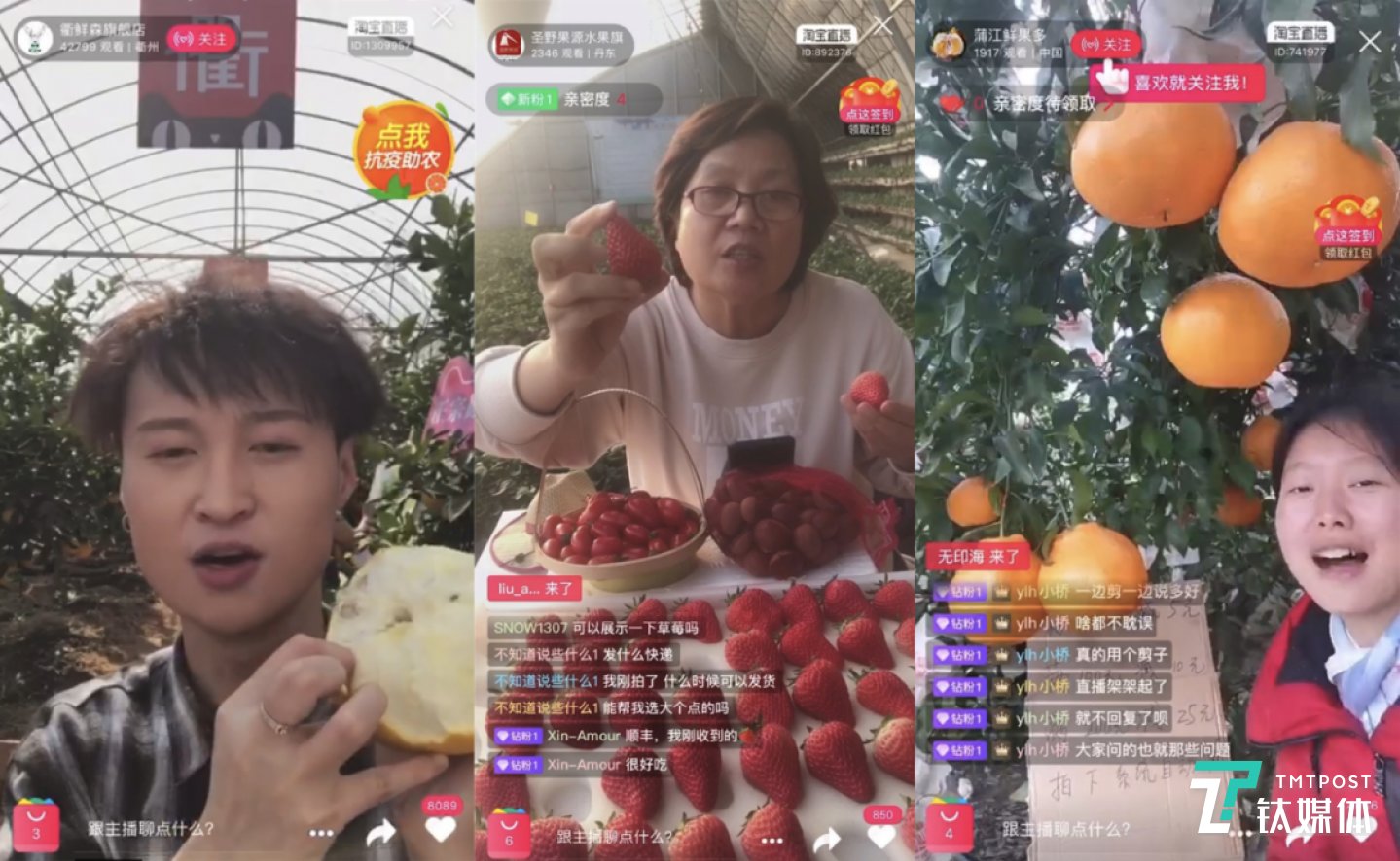 边采摘边连麦,蔬菜大棚变成淘宝直播间