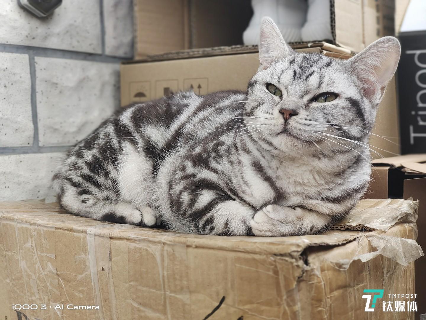 人像模式下，模拟f/0.9光圈-焦距：6.78mm，光圈：f/2，快门速度：1/100。