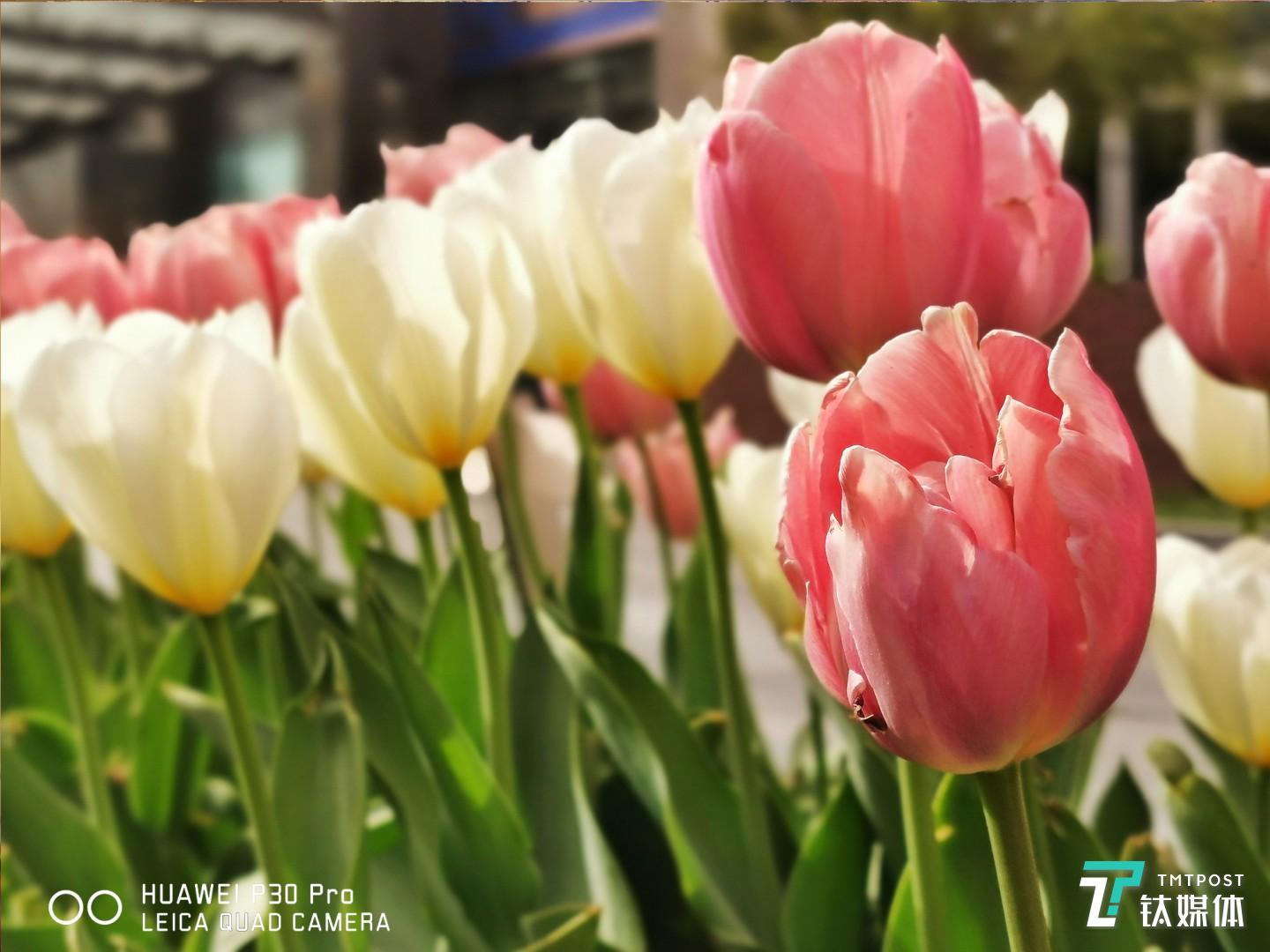 更多样张  焦距：mm（等效35mm焦距） 光圈：f/ 快门速度：1/s ISO: