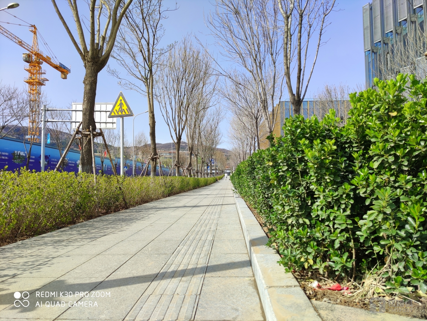 更多样张 焦距：5.58mm 光圈：f/1.6 快门：1/1000 ISO：50