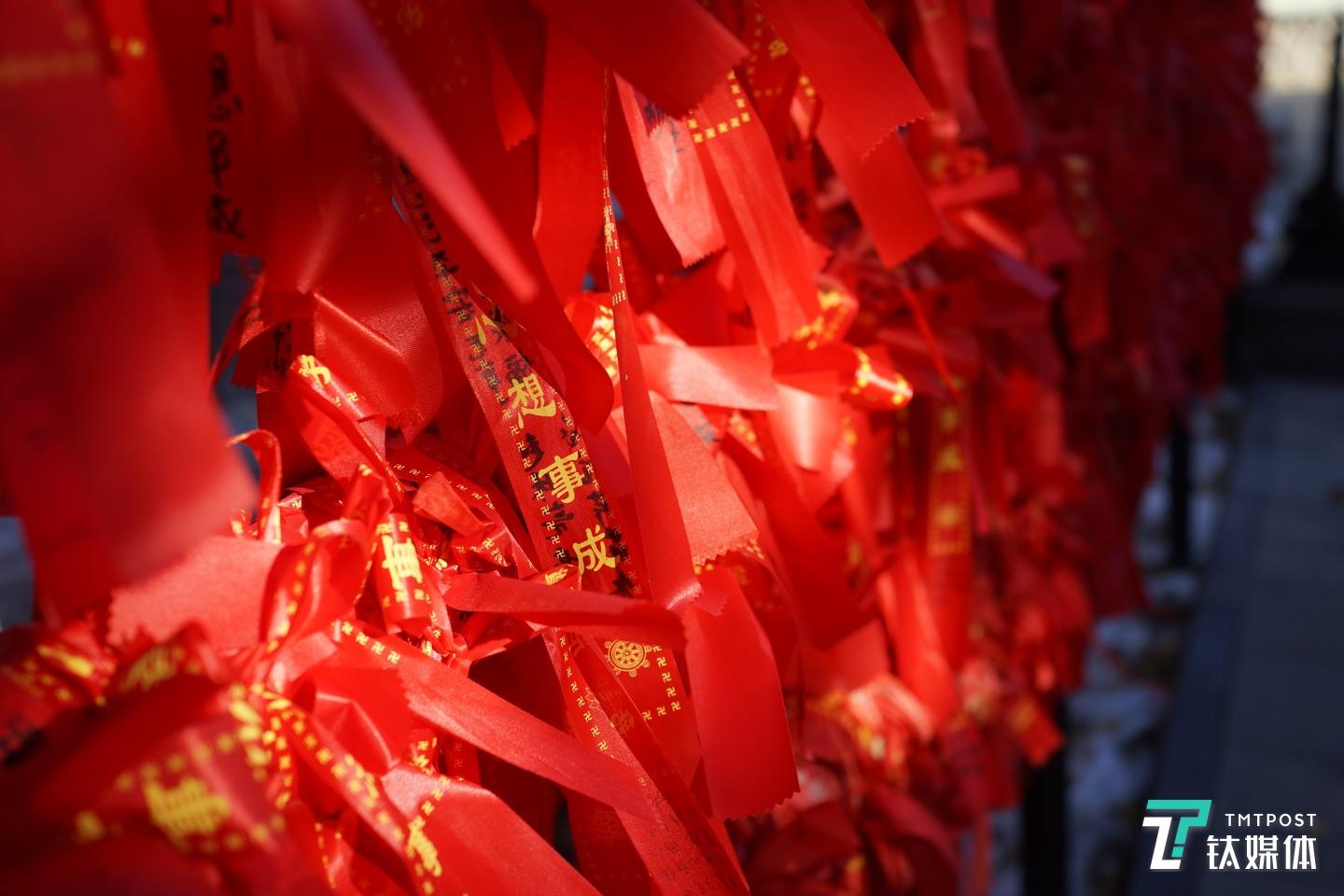 尼康Z7實(shí)拍，背景虛化很不錯(cuò)