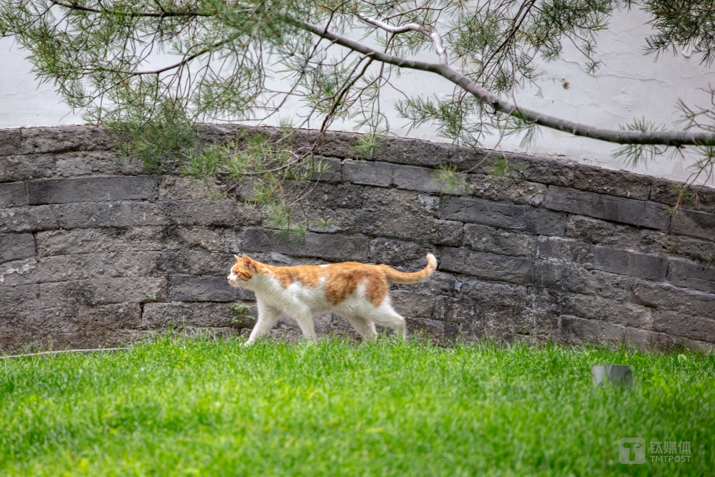 焦距：mm 光圈：f/ 快门：1/s ISO：