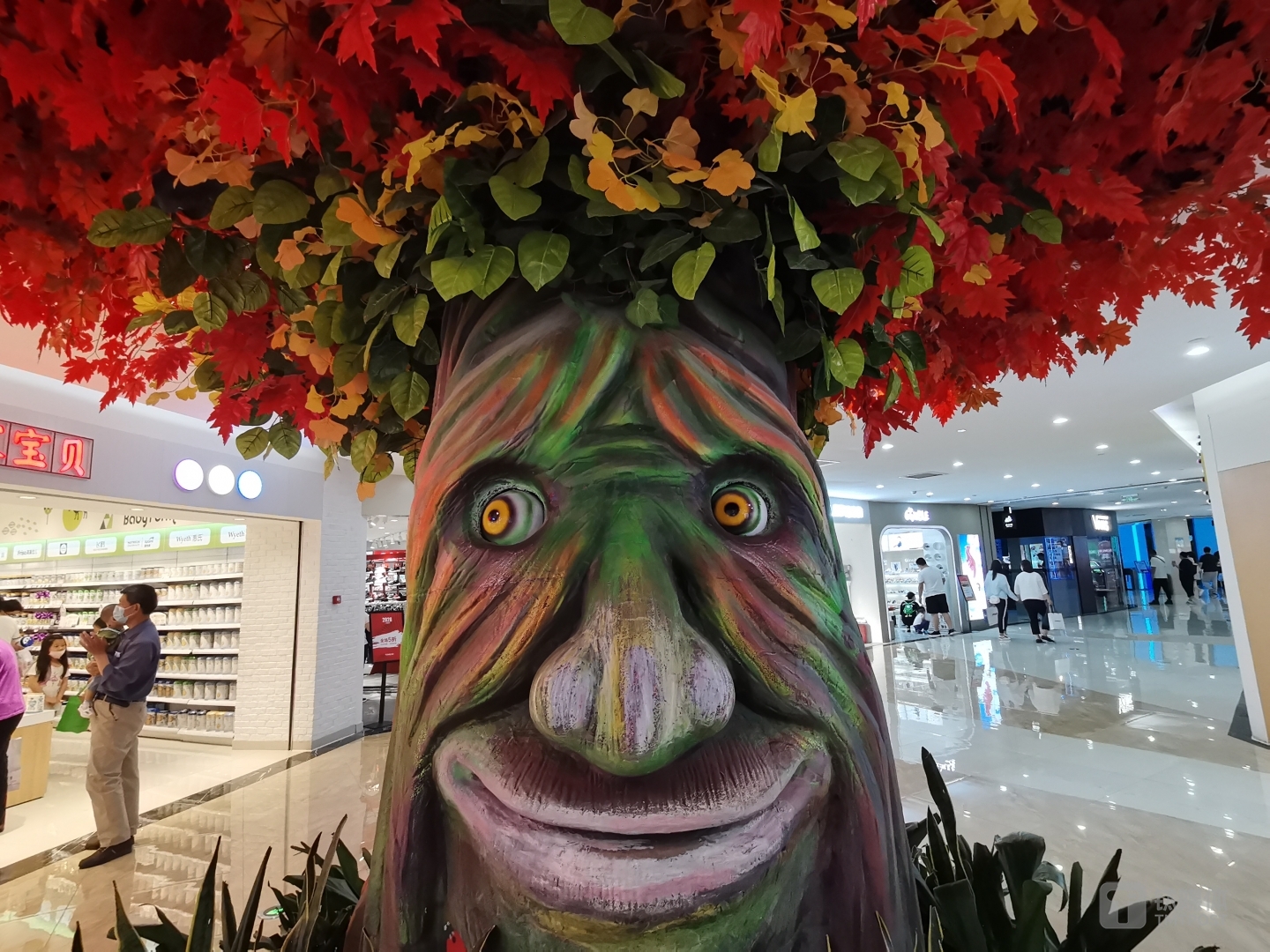 焦距：1.78 mm 光圈：f/2.4 快门：1/60s ISO：320