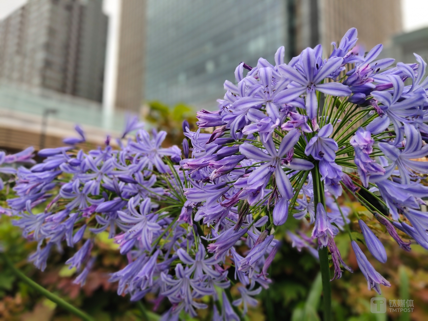 更多样张 焦距：4.35mm 光圈：f/1.8 快门速度：1/s ISO: