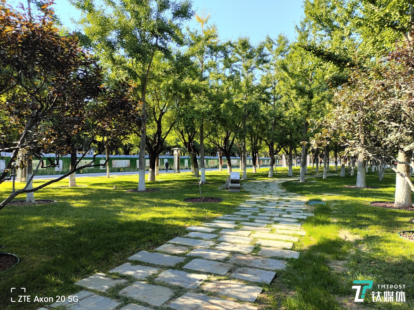 Axon 20 5G-主摄样张2