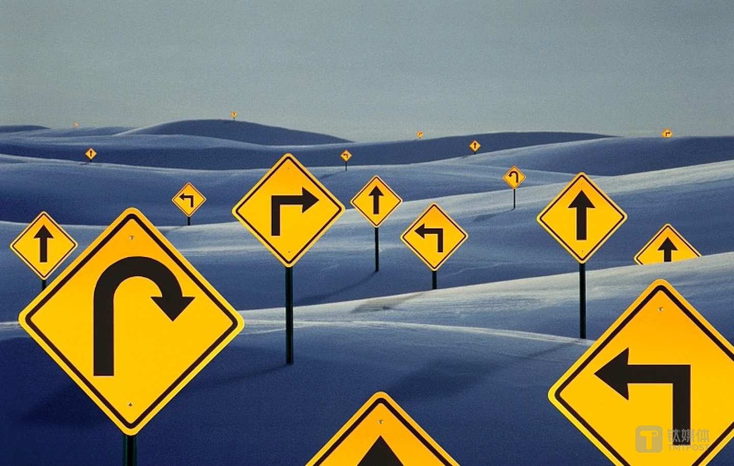 图片来源：视觉中国