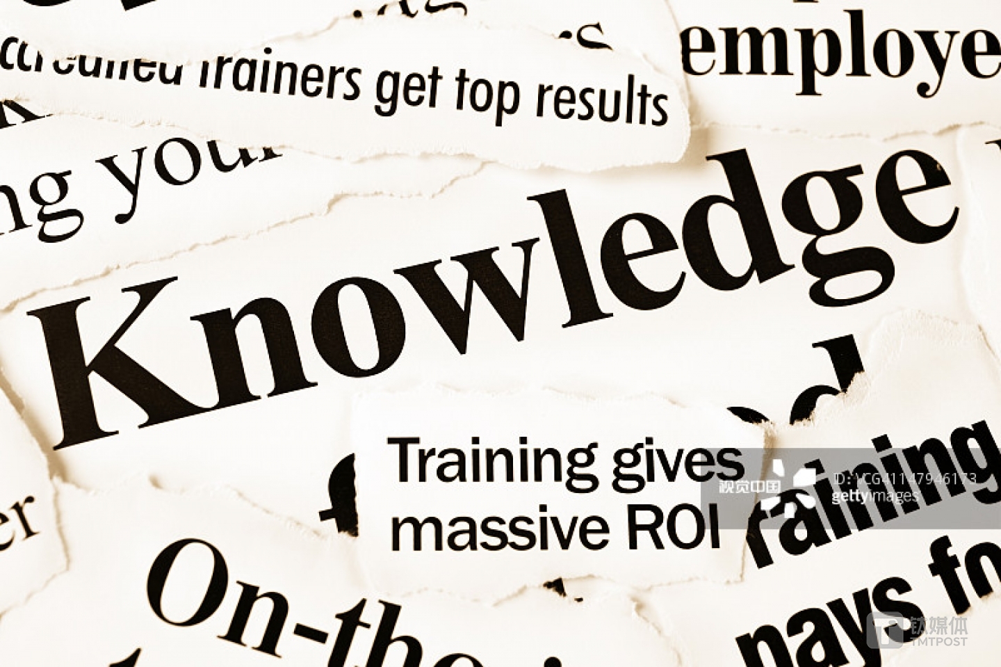 题图来自：视觉中国