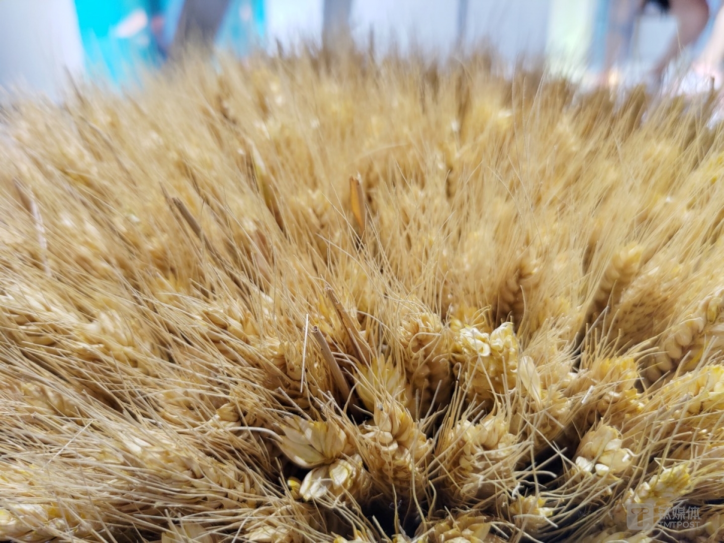 更多样张 焦距：2.11mm 光圈：f/2.4 快门速度：1/s ISO: