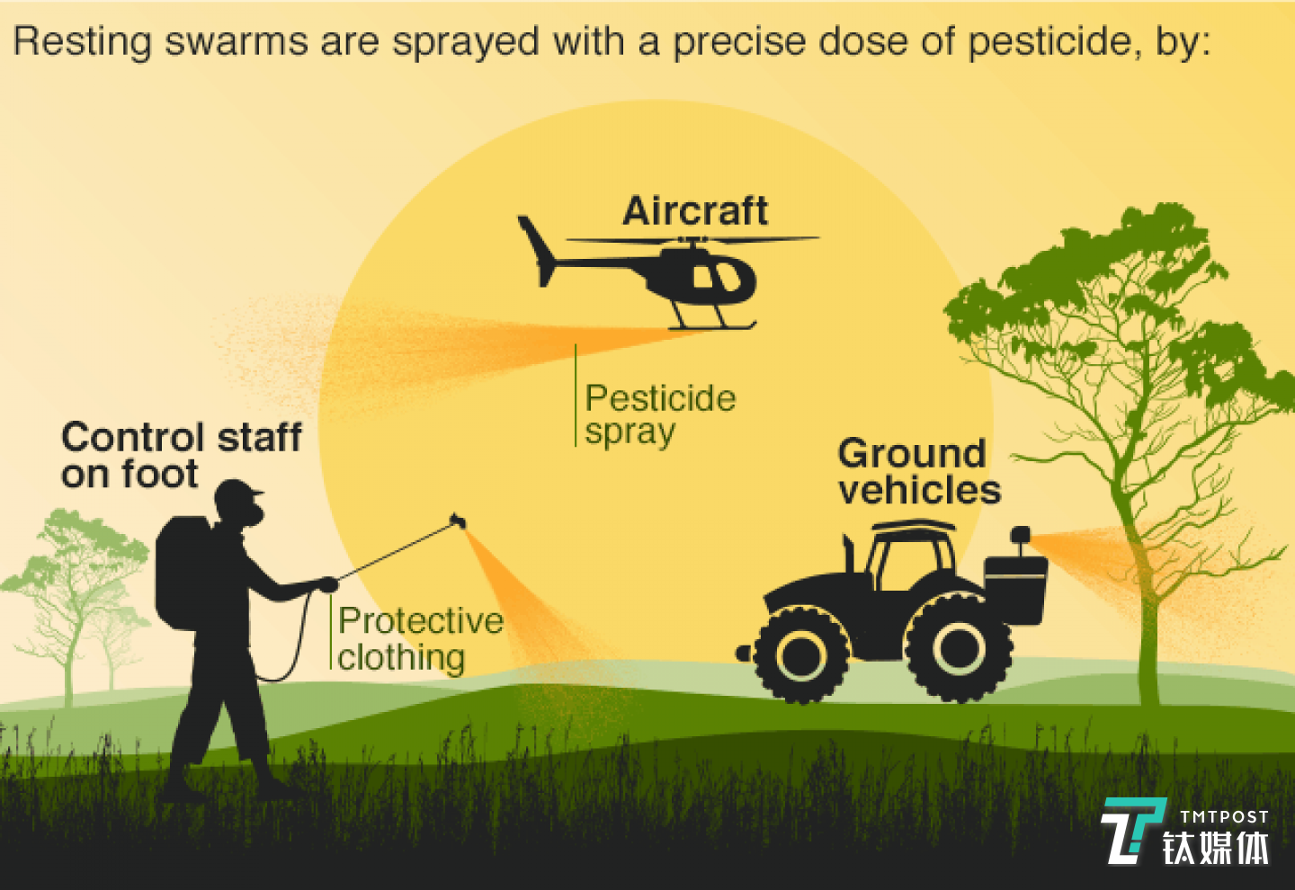 遏制蝗災疫情的有效手段