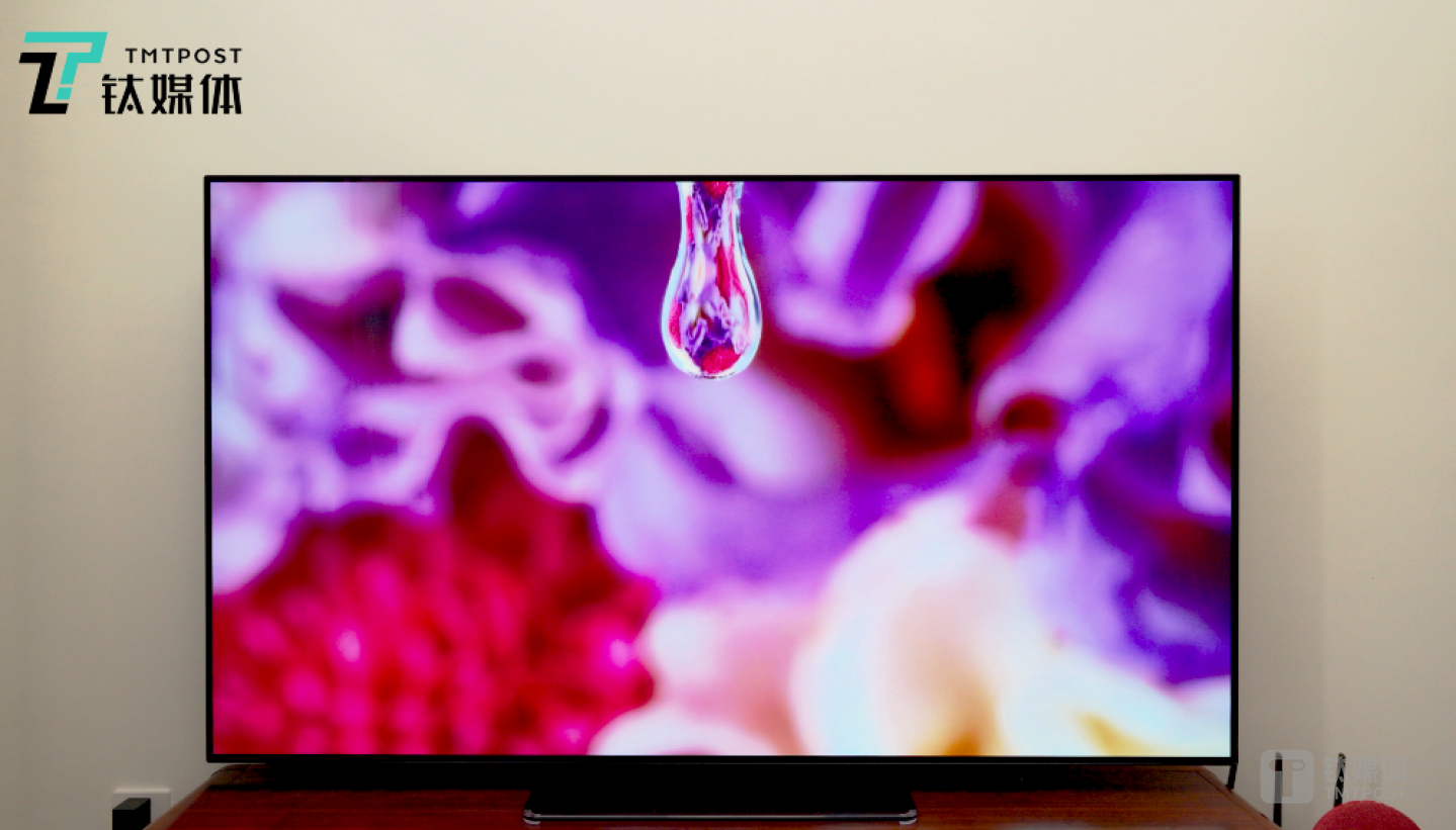 小米电视『大师』65&rdquo;OLED